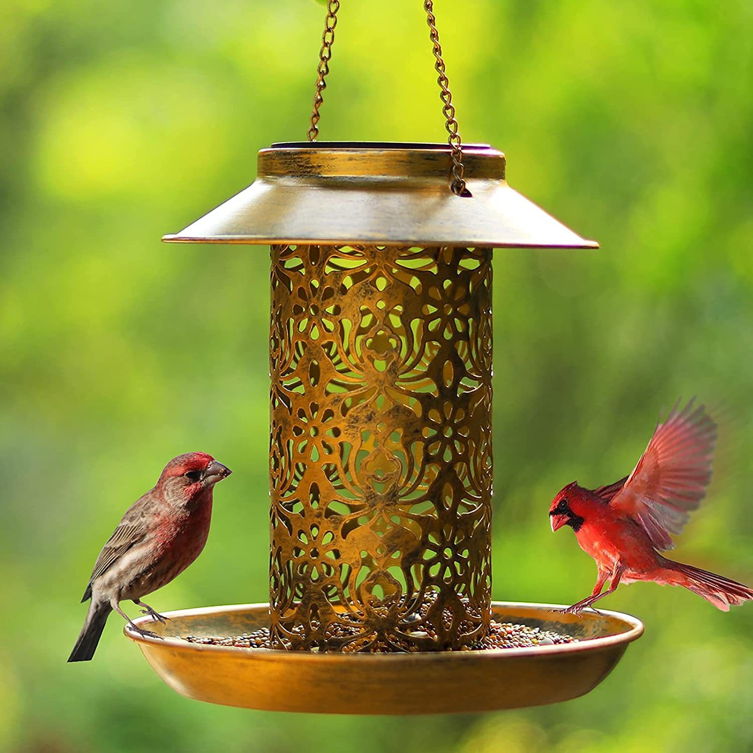 Outdoor Lighting Decor Ideas - Hängendes Vogelhäuschen aus Metall im Freien,