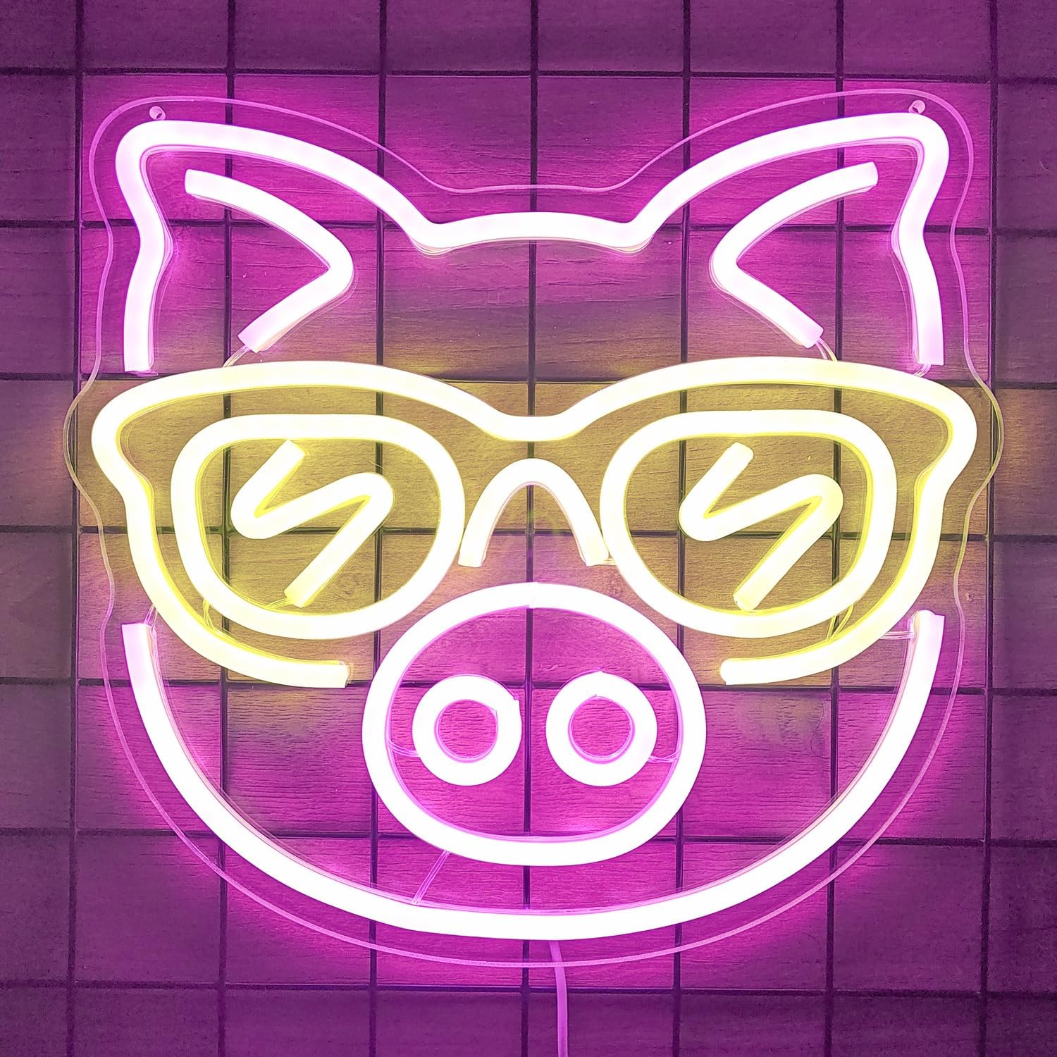 Rosa Schwein mit gelber Brille – Outdoor Lighting Decor Ideas Bewertung und Preis