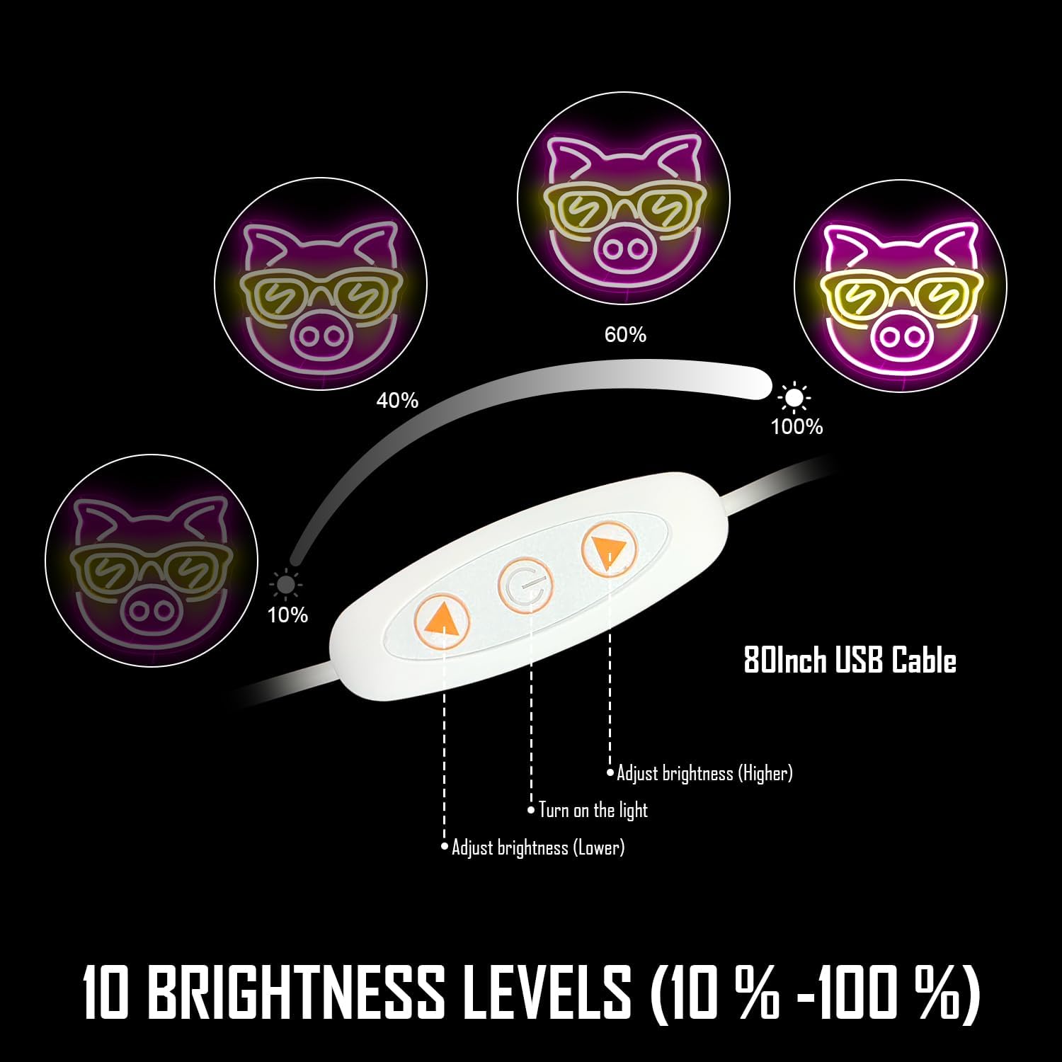 Rosa Schwein mit gelber Brille – Outdoor Lighting Decor Ideas Bewertung und Preis